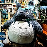 Totoro na Coréia