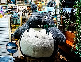Quando me senti um Totoro de estimação na Coréia